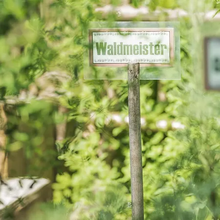 Alpenhof Kristall Szálloda Mayrhofen